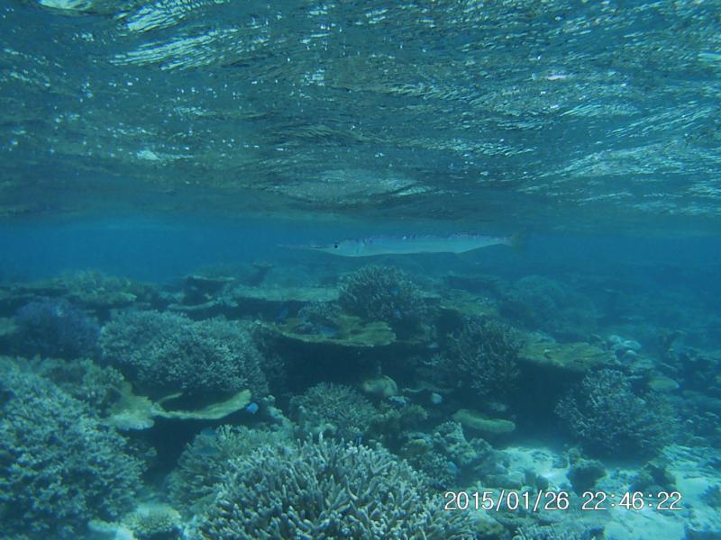 Hoffentlich bei&szlig;t der nicht